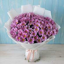 Букет сиреневая охапка в Новом-Уренгое Букет цветов из:  Хризантемы в Новом-Уренгое