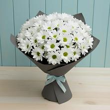 Букет цветов из:  Хризантемы в Новом-Уренгое